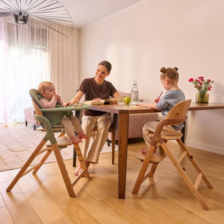 Scaun de masa multifunctional Megan, Lionelo, Din lemn de fag, 6 luni- adult, Reglabil pe inaltime, Husa impermeabila, Tavita silicon, Suport de picioare reglabil, Greutate maxima 110 Kg, Verde [24]