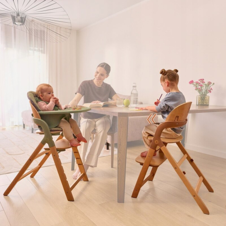 Scaun de masa multifunctional Megan, Lionelo, Din lemn de fag, 6 luni- adult, Reglabil pe inaltime, Husa impermeabila, Tavita silicon, Suport de picioare reglabil, Greutate maxima 110 Kg, Verde [27]
