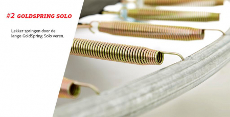 Trambulina Berg Grand Favorit Regular 520x345 Verde cu Plasa Comfort - BERG Toys [4]