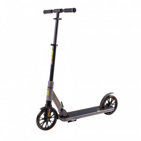 Trotineta inSPORTline Wayotan [1]