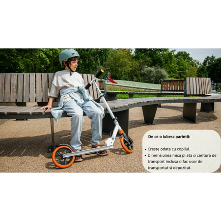 Trotineta, Lionelo, Luca, pentru copii sau adulti, Ultrapliabila, Pana la 100 Kg, Conform cu standardul european de securitate EN14619, Roz [25]