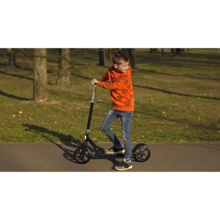 Trotineta, Lionelo, Luca, pentru copii sau adulti, Ultrapliabila, Pana la 100 Kg, Conform cu standardul european de securitate EN14619, Roz [22]