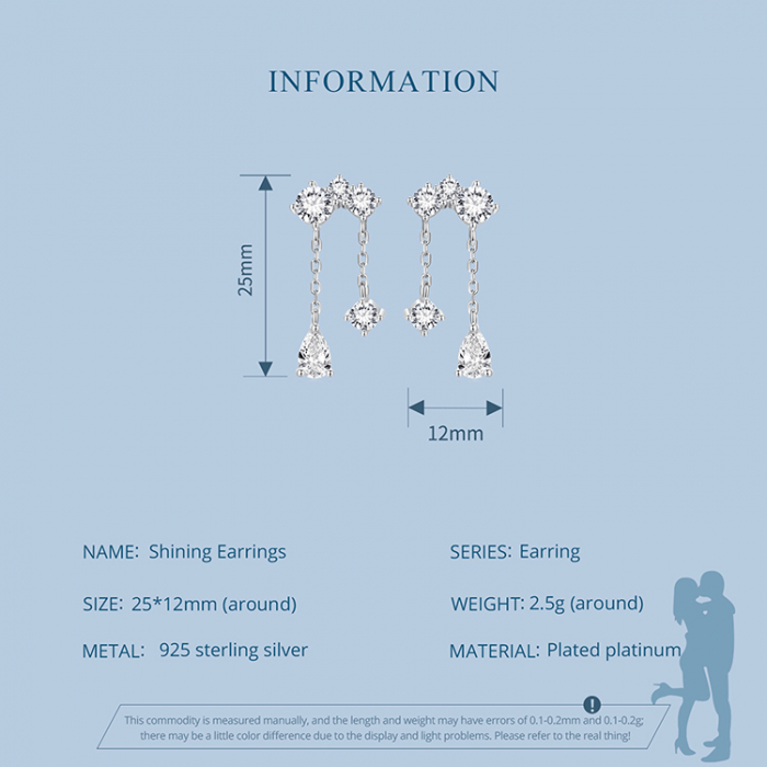Cercei argint cu zirconii sclipitoare [13]