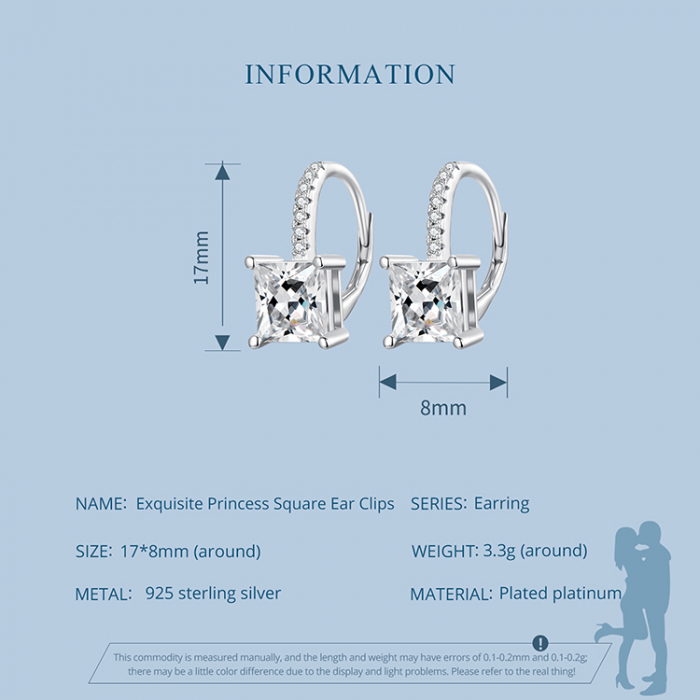 Cercei argint eleganti [12]