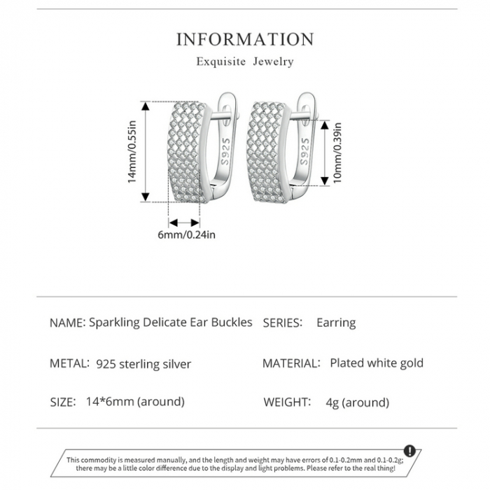 Cercei argint Exquisite [11]