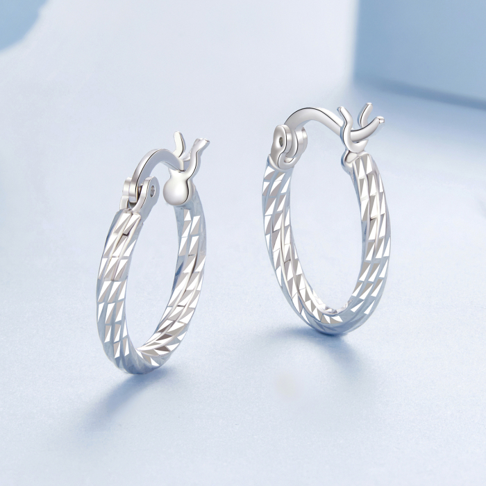 Cercei argint rasuciti [6]