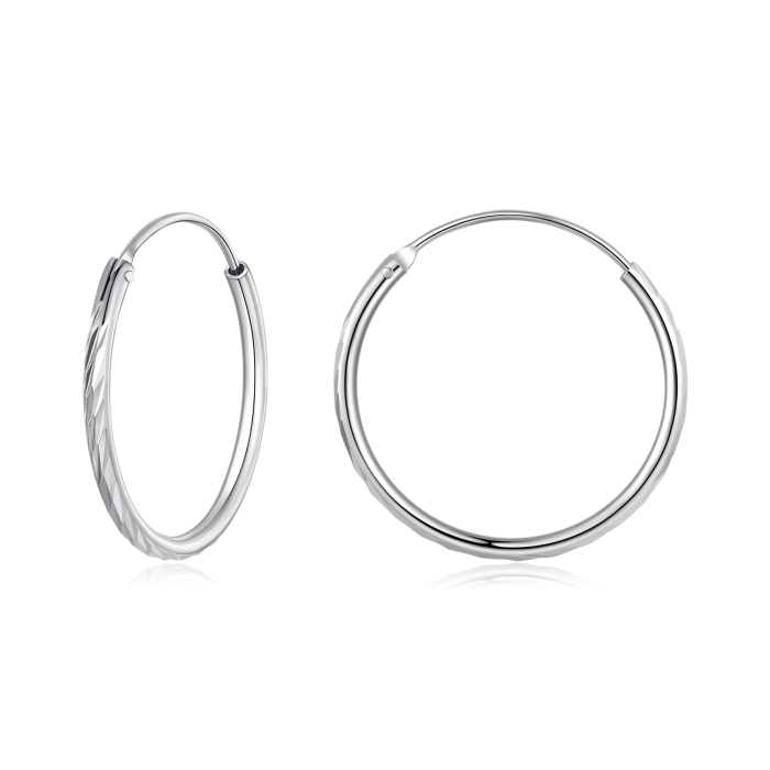 Cercei argint rotunzi [1]