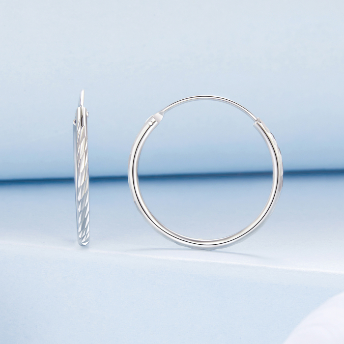 Cercei argint rotunzi [4]