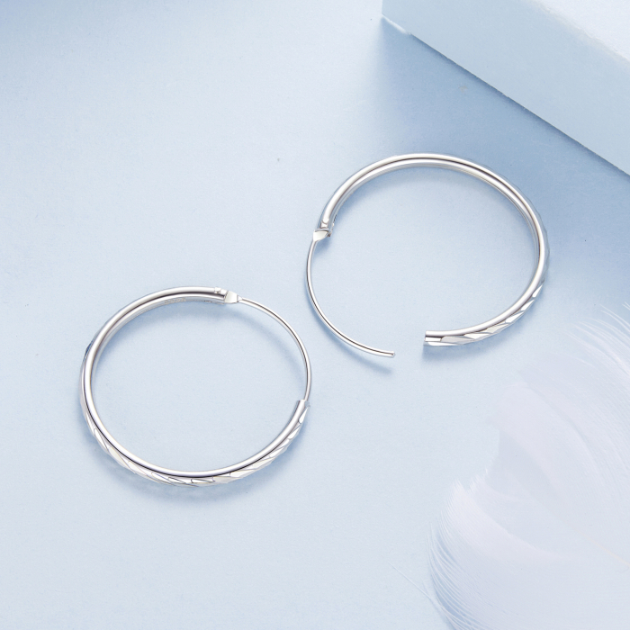 Cercei argint rotunzi [7]