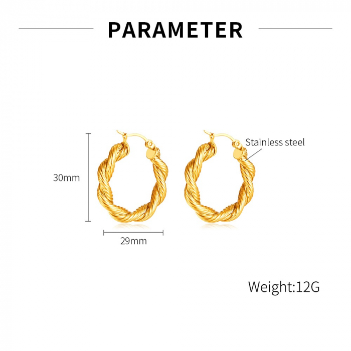 Cercei inox rasuciti  [13]