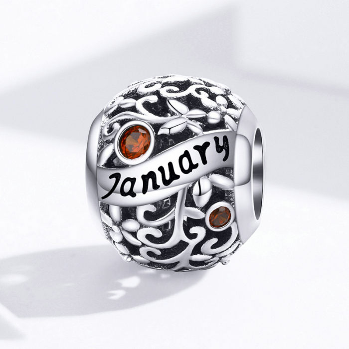 Talisman argint luna Ianuarie cu zirconiu [5]