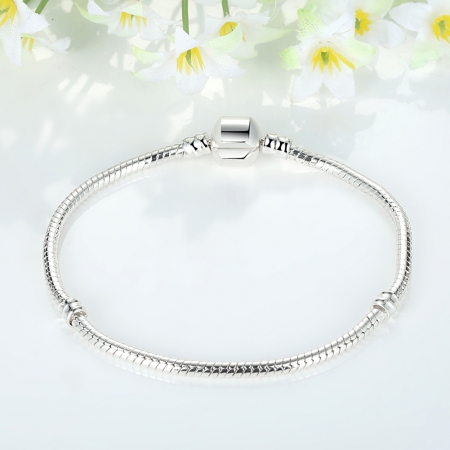 Bratara fantezie placata cu argint pentru talismane  BST0002 [2]