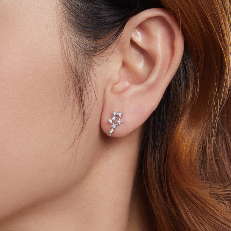 Cercei argint asimetrici zodia rac [8]