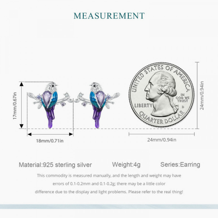 Cercei argint pasarele colorate [12]