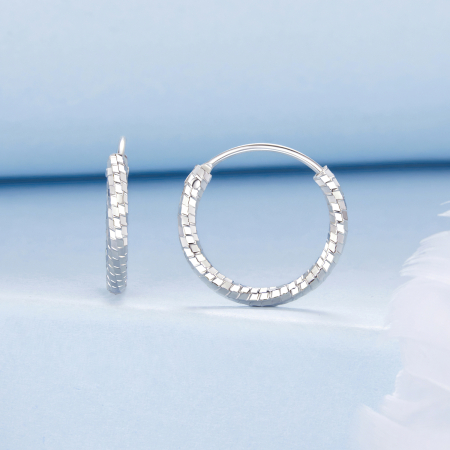 Cercei argint rasuciti Disco [2]