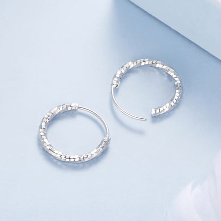 Cercei argint rasuciti Disco [6]