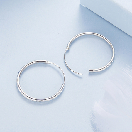 Cercei argint rotunzi [6]