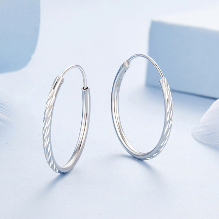 Cercei argint rotunzi [5]