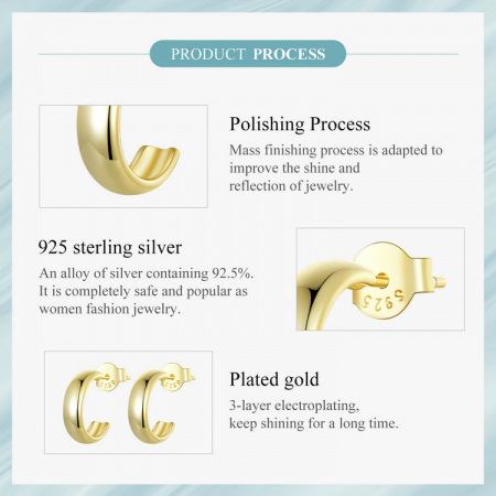 Cercei argint rotunzi [7]