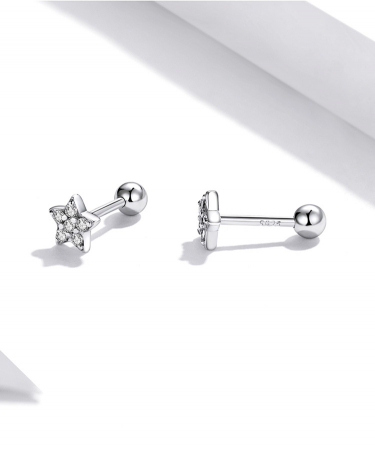 Cercei argint stelute cu zirconii [9]