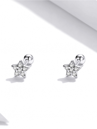 Cercei argint stelute cu zirconii [7]