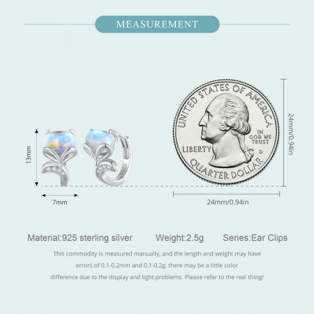 Cercei argint vulpe [10]