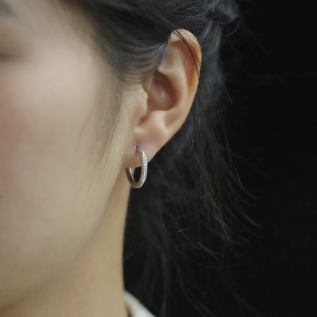 Cercei inox rotunzi cu zirconii [5]