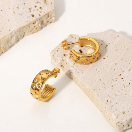 Cercei rotunzi din inox auriu cu zirconii [6]