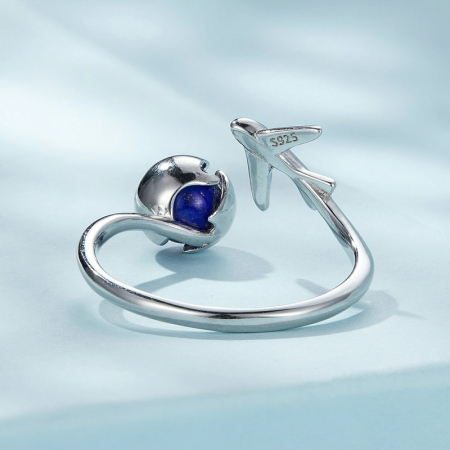 Inel argint calatorii [6]