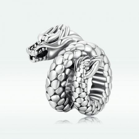 Pandantiv argint  cu dragon acvatic [6]