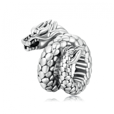 Pandantiv argint  cu dragon acvatic [5]
