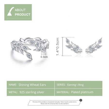 Set argint cu spice [3]