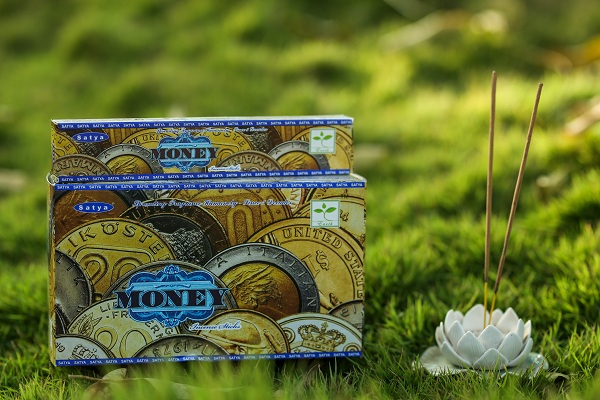 Betisoare parfumate Money 15g [1]
