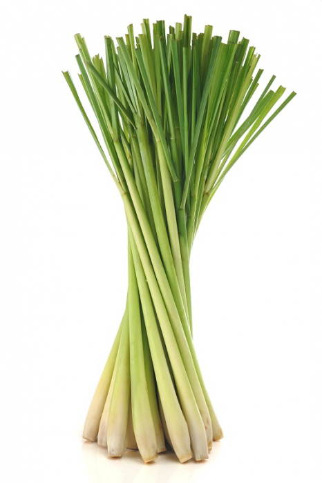 Ulei Esenţial Pur Iarba De Lămâie / Lemongrass / Cymbopogon Flexuosus 15ml [2]