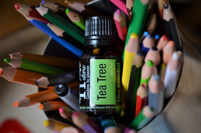 Ulei Esential Arbore de Ceai, Tea Tree 15ml [3]