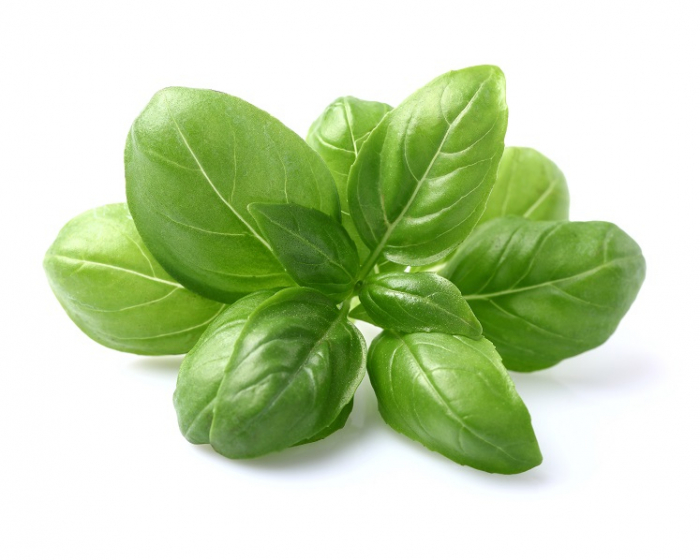 Ulei Esențial Pur Busuioc / Basil / Ocimum Canum 15ml [2]