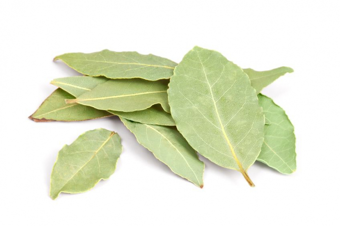 Ulei Esenţial Dafin / Bay Leaf / Laurus Nobilis 15ml [2]