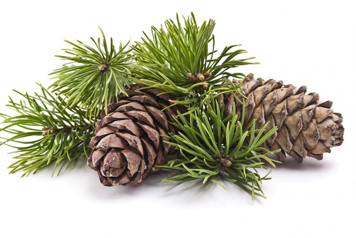 Ulei Esențial Pur Cedru / Cedar Wood / Cedrus Deodara 15ml [2]