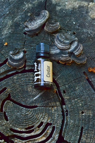 Ulei Esential Cedru, Cedar Wood 15ml [3]