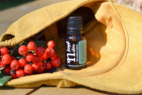 Ulei Esential Chiparos, Cypress 15ml [3]