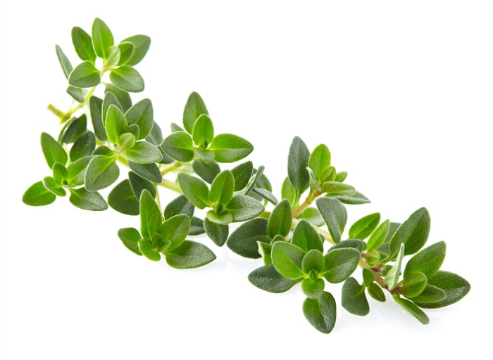 Ulei Esential Cimbru, Thyme 15ml [2]