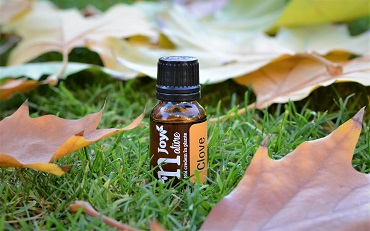 Ulei Esential Cuişoare Muguri, Clove Bud 15ml [3]