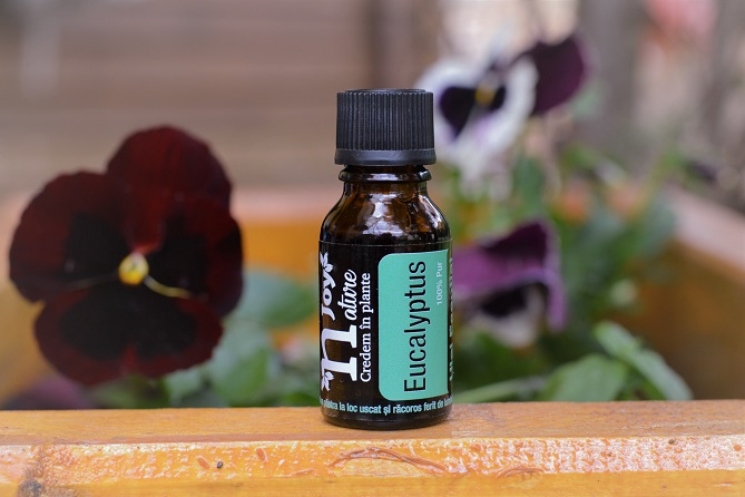 Ulei Esential Eucalipt Organic, Eucalyptus 15ml [3]