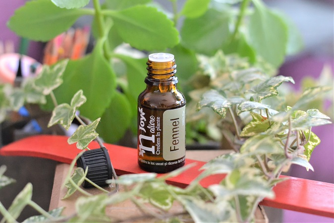 Ulei Esential Fenicul seminţe, Fennel Seed 15ml [3]