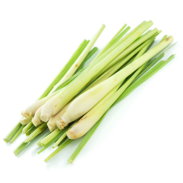 Ulei Esențial Ghimbir / Gingergrass / Cymbopogon Martini 15ml [2]
