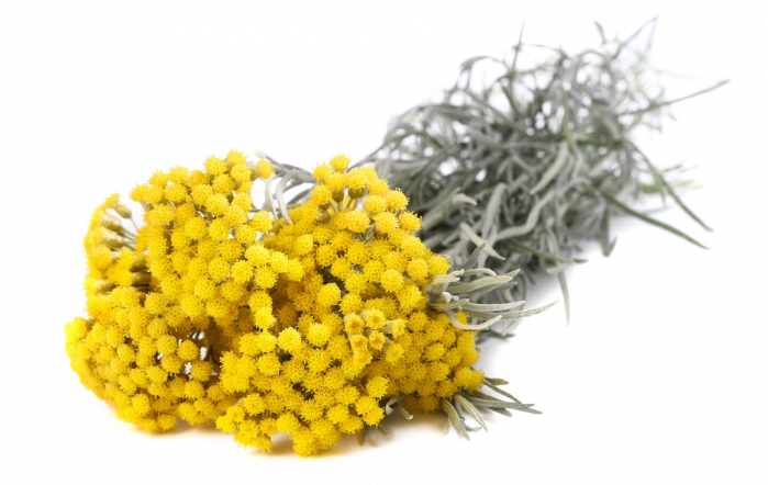 Ulei Esențial Pur Helichrysum / Immortelle / Helichrysum Italicum 15ml [2]