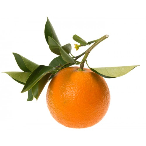 Ulei Esenţial Pur Portocală Amară / Bitter Orange / Citrus Aurantium [2]