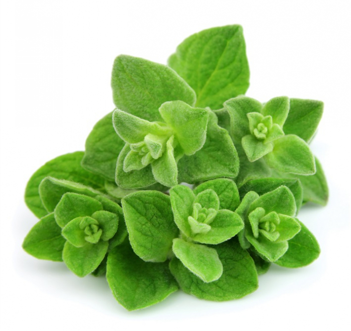 Ulei Esențial Pur Oregano / Origanum Vulgare 15ml [2]