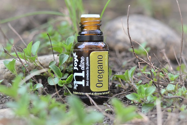 Ulei Esential Oregano Organic 15ml [3]