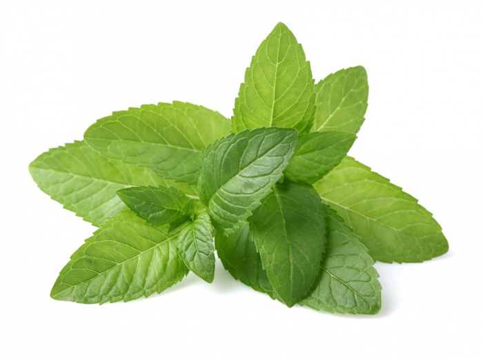 Ulei Esenţial Pur Mentă / Peppermint / Mentha Piperita 15ml [2]